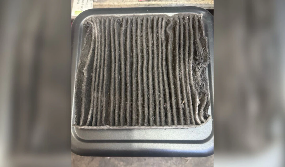 Cabin Air Filter from a Ford